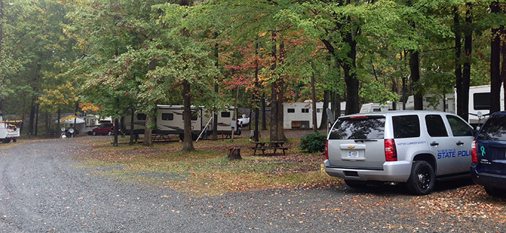 Hillwood Camping Park : Gainesville, VA